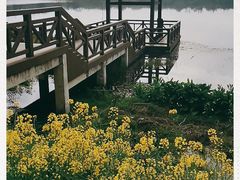 -紫霞湖公园