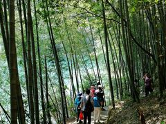 -祁门牯牛降观音堂风景区