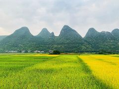 -万峰林风景区