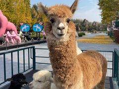 -北京野生动物园