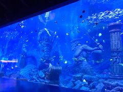 -哈尔滨波塞冬海底世界