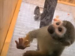 -常州淹城野生动物世界