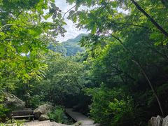 -大岭沟猕猴桃谷风景区