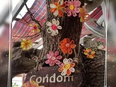 -卷心菜和避孕套餐厅(Pattaya)