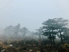 -秦岭风景区