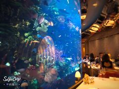 -迪拜帆船酒店海底餐厅