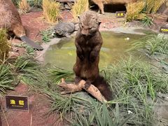 -陕西自然博物馆