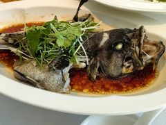 -顺峰(农展馆店)