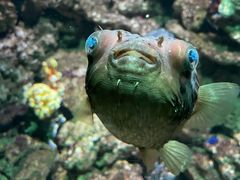 -海合安青岛极地海洋公园