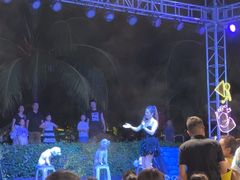 -渔家火锅·海鲜自助餐·演艺(亚龙湾天域酒店)