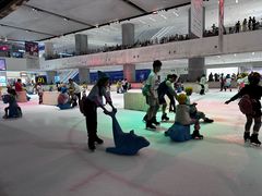 -TheRink大零溜冰场(IFS国金中心店)