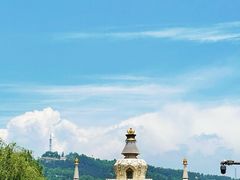 -塔尔寺