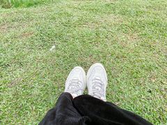 -松山湖南湖湾露营营地