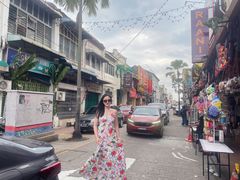 -槟城街头艺术街区