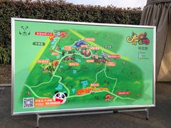 -空港花田景区