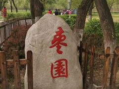 -延安杨家岭革命旧址