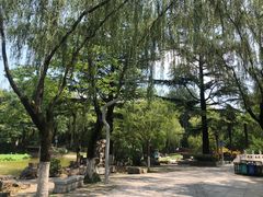 -西安市长乐公园