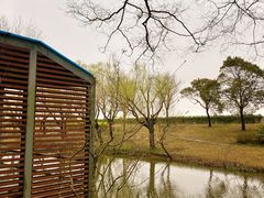 -上海滨江森林公园