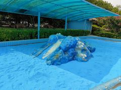 -南宫温泉水世界