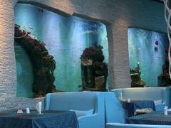 -瑞德姆美人鱼海底演艺主题餐厅(亚龙湾店)