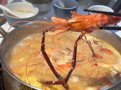 -濠七糟粕醋•海南酸汤火锅(中关村店)