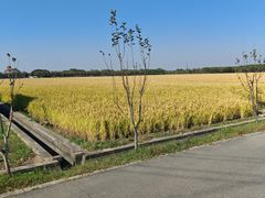 -嘉北郊野公园