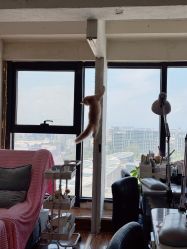 -丽心自助美甲美睫