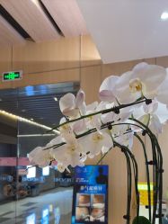 -恒美雅轩·品牌直营连锁