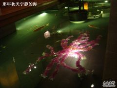 紫色与绿色的交叠-松子料理(亮马桥店)