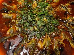 -悦百味·品质川菜(橄榄郡店)