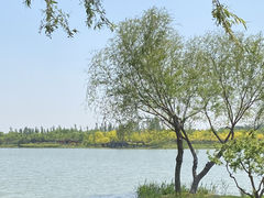 -东郊湿地公园