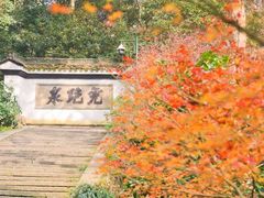 -虎跑公园