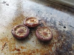 -潭柘厚院(桑峪村店)