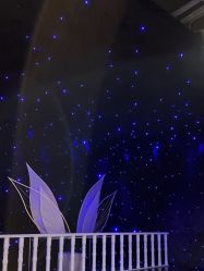 点击看大图 -金夫人婚纱摄影(总店)