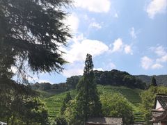 -龙口南山旅游景区