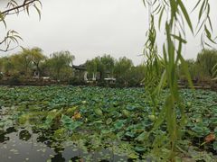 -无锡蠡湖国家湿地公园-蠡园