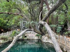 -蝴蝶泉公园