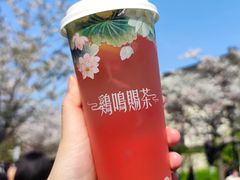 -鸡鸣赐茶(鸡鸣寺路店)