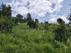 -灵山