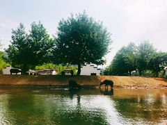 -杭州双溪漂流景区