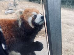 -常州淹城野生动物世界