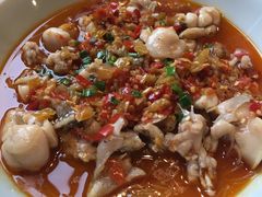 -新白鹿餐厅(城西银泰城店)