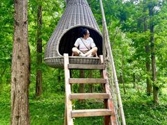 -黄海国家森林公园