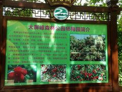 -大屏嶂森林公园