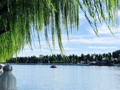 景点-什刹海-后海