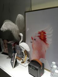 点击看大图 -INNEREAL英妮芮医疗美容