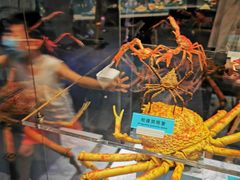 -贝林大翅鲸简餐厅(国家海洋博物馆店)