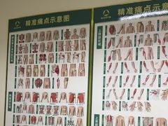 -通透堂中医·精准推拿(旗舰店)