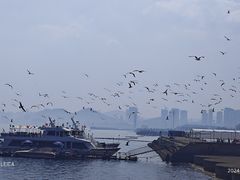 -星海广场