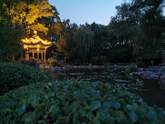 -迎泽公园